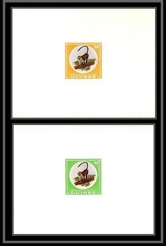 2089 singe monkey apes - , 1962