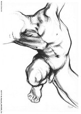 AUYP1-0061-NU-MASCULIN -