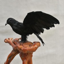 Oiseau artificiel, corbeau