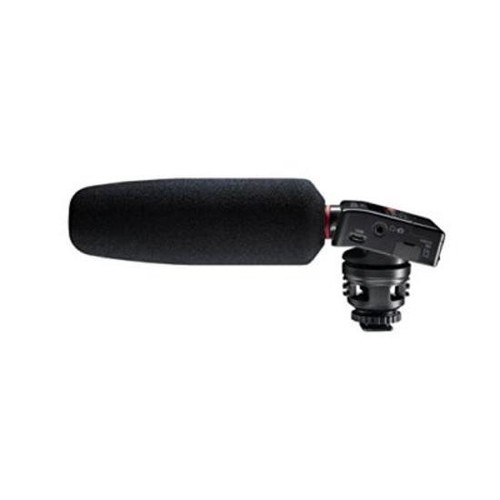 Enregistreur audio monté sur