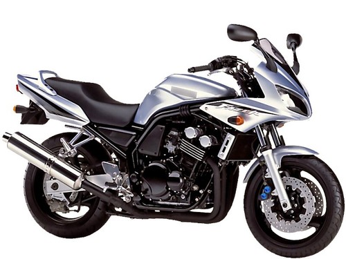 Stickers for fzs - for, 600
