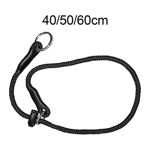 Collier dressage pour chien - collier,