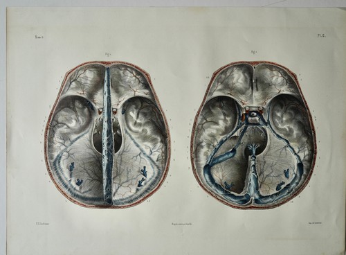 Bourgery jacob anatomie 1844 - jacob,