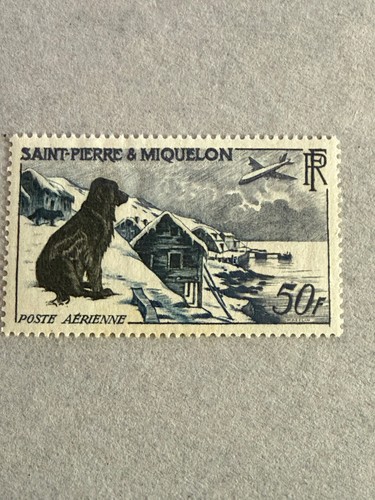 Saint pierre miquelon - et,