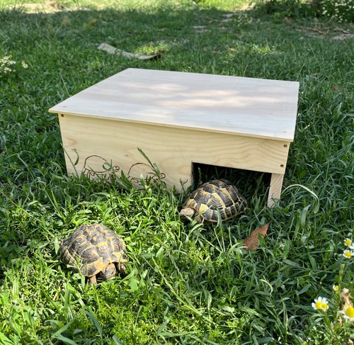 Cabane abri pour tortues - pour, en