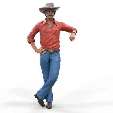 Cowboy burt reynolds 87 - burt,