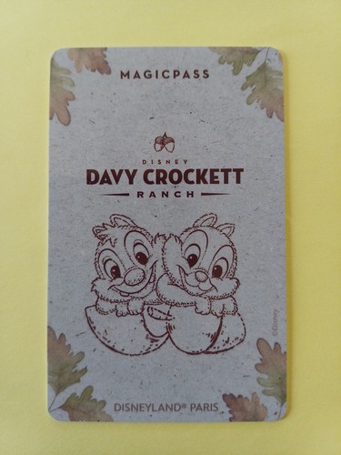 Pass disney disneyland paris - pass,
