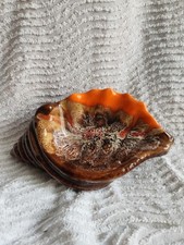 Magnifique céramique en forme de coquillages dans le style Valoris