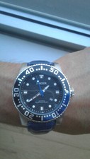 Racer ORIENT M13723-3 DIVER