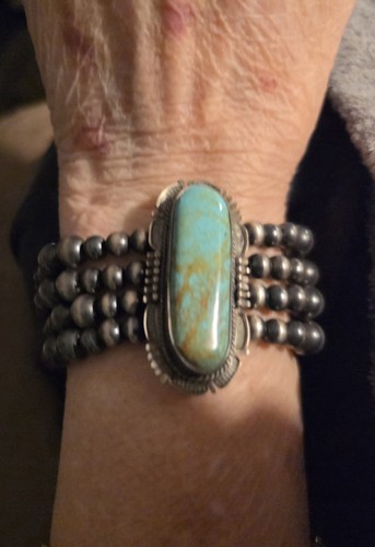 Native american navajo - native,