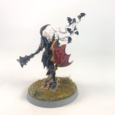 x1 Vampire Lord Plastique