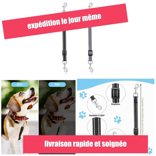Clip sécurité chien double