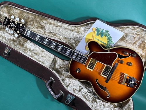 Ibanez 200 used electric - af-200,