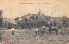 CPA 52 BRICON / VUE PANORAMIQUE / SCENE DE FENAISON