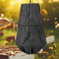 Piège à essaim pour