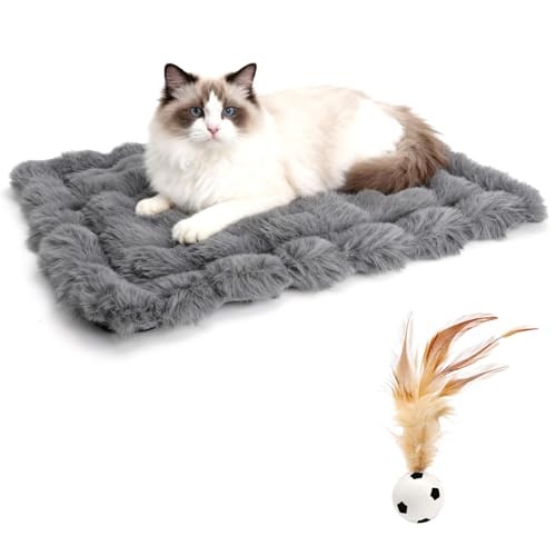 Coussin chat pour 45x60 - pour,