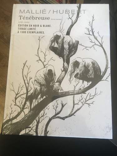 Tenebreuse livre second - tenebreuse, second/ed
