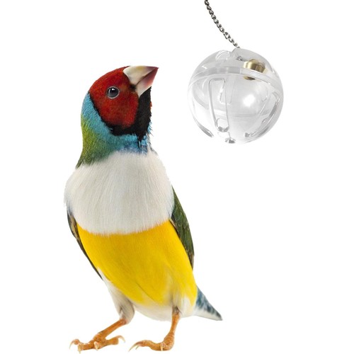 Bird treat feeders pet - pet,