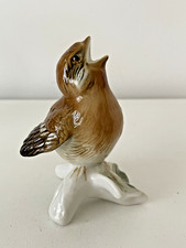 Petit oiseau moineau ?  en