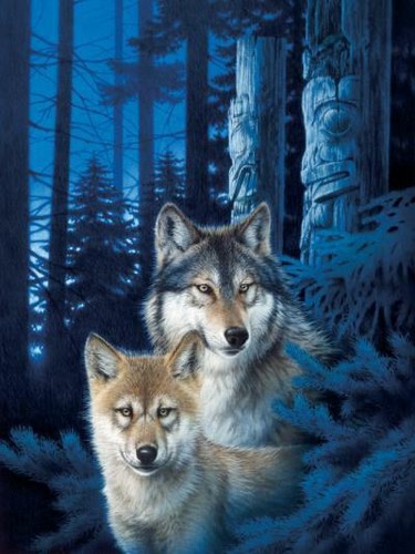 Puzzle 1000 pièces loup des - puzzle, "loup