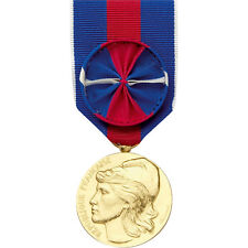 COLLECTION MEDAILLE DU SERVICE MILITAIRE VOLONTAIRE OR ROSETTE SMV NEUVE ECRIN