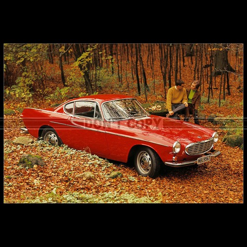 Photo 006974 volvo p1800 - photo,