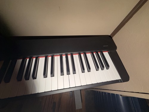 Yamaha 225 key - yamaha, 88-key