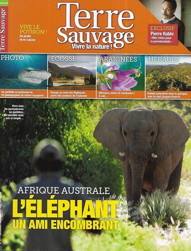 Terre sauvage 277 - terre,