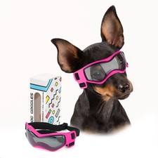 Lunettes de soleil pour chiens