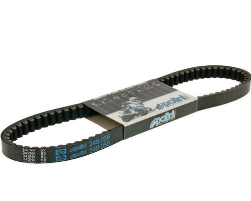 Ceinture polini speed - polini, belt