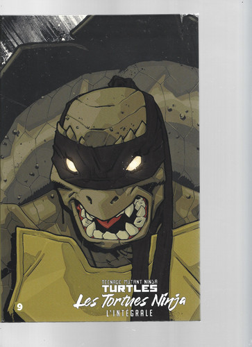 Teenage mutant ninja turtles - teenage,