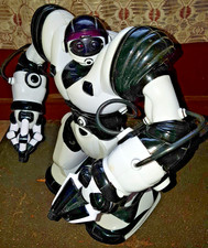 Robot interactif Robosapien