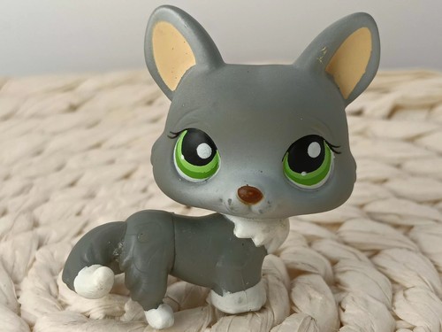 Petshop authentic lps - petshop,