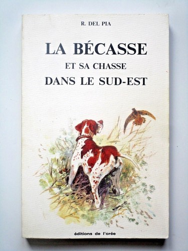 Bécasse chasse dans - chasse,