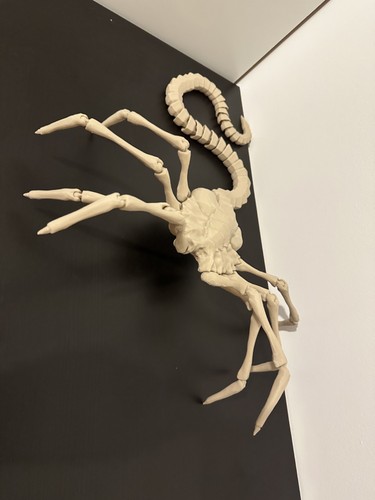Face hugger alien - face,, hugger,