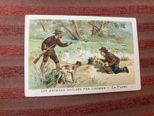 CHROMOS CHASSE LES ANIMAUX