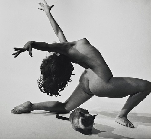 André dienes photo de - de, nu