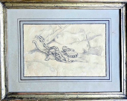 Autour antoine barye - autour,