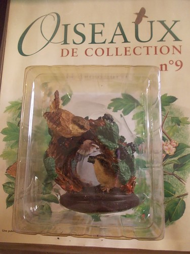 Troglodyte oiseau eaglemoss - troglodyte,