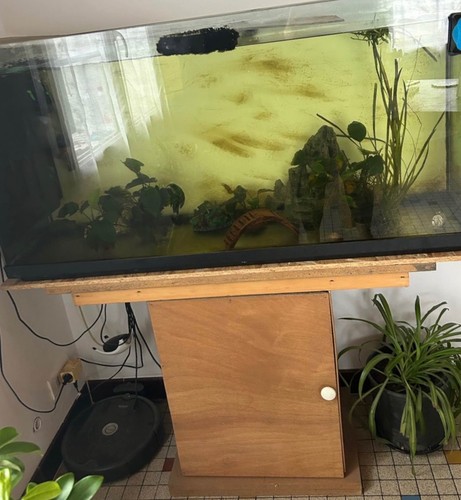 Aquarium sur meuble 250l - aquarium,