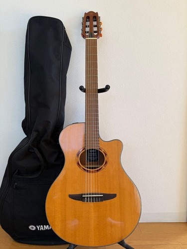 Guitare acoustique électrique - guitare, acoustique-électrique