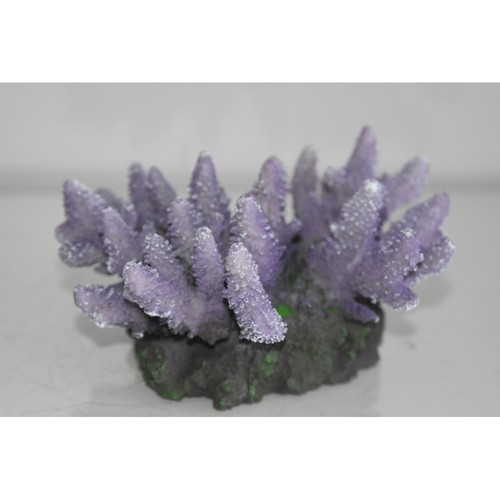 Aquarium superbe corail reef - corail,