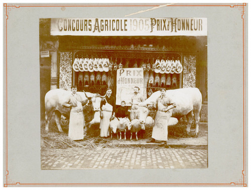 Boucherie élevage concours - Élevage,,
