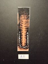 DATA EAST - JURASSIC PARK -