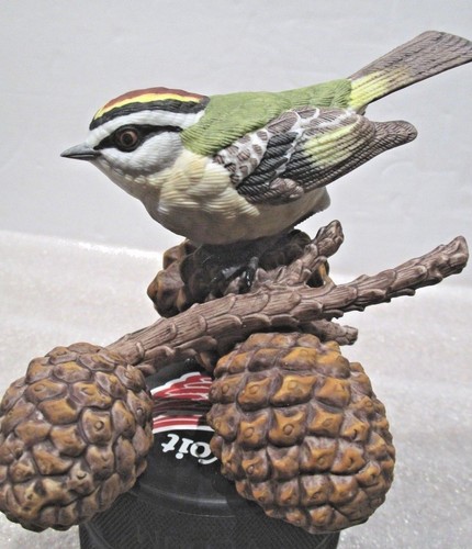 Lenox golden crowned kinglet - crowned,