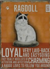 PLAQUE METAL vintage chat RAGDOLL - 40 x 30 cm 