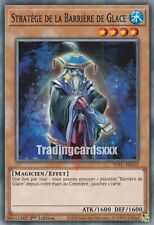 Yu-Gi-Oh! Stratège de la Barrière de Glace : C SDFC-FR012