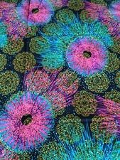 Guaranteed 100% cotton African