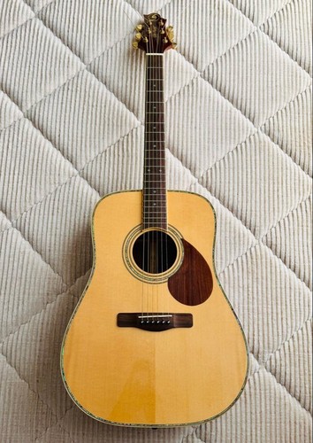 Acoustic guitar samick - guitar, greg