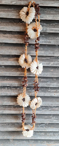 Ancien collier coquillage - ancien,